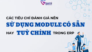 cac-tieu-chi-danh-gia-nen-su-dung-module-co-san-hay-tuy-chinh-trong-erp-thumbnail